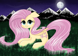Size: 3500x2500 | Tagged: safe, artist:mite-lime, imported from derpibooru, fluttershy, female, solo