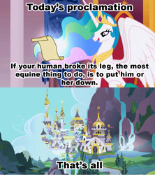 Size: 1021x1149 | Tagged: safe, imported from derpibooru, princess celestia, alicorn, human, pony, caption, celestia's proclamation, comic, euthanasia, exploitable meme, implied human, meme, role reversal, unnecessary comma