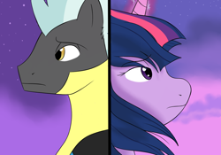 Size: 1000x700 | Tagged: safe, artist:wafflii, imported from derpibooru, thunderlane, twilight sparkle, alicorn, pony, close-up, female, frown, male, mare, profile, sad, shipping, straight, twilane, twilight sparkle (alicorn)