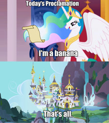 Size: 853x960 | Tagged: safe, imported from derpibooru, princess celestia, banana, celestia's proclamation, exploitable meme, image macro, meme, wat