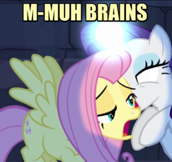 Size: 374x351 | Tagged: safe, imported from derpibooru, fluttershy, rarity, faic, image macro, meme