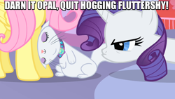 Size: 960x540 | Tagged: safe, imported from derpibooru, screencap, fluttershy, opalescence, rarity, cat, image macro, meme