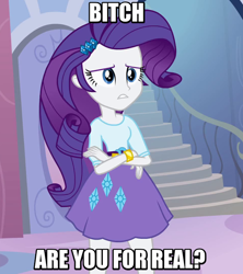 Size: 634x713 | Tagged: safe, edit, edited screencap, imported from derpibooru, screencap, rarity, equestria girls, caption, female, image macro, meme, solo, vulgar