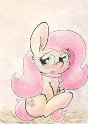 Size: 684x966 | Tagged: safe, artist:slightlyshade, imported from derpibooru, fluttershy, collar, female, hay, looking back, pet tag, sitting, solo, traditional art