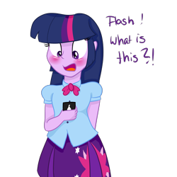 Size: 4000x4000 | Tagged: safe, artist:lisa400, imported from derpibooru, flash sentry, twilight sparkle, equestria girls, blushing, cellphone, dialogue, female, solo