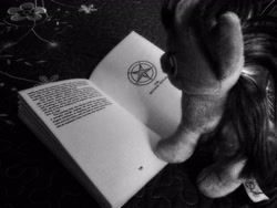 Size: 2560x1920 | Tagged: safe, artist:crucifythewolf, imported from derpibooru, twilight sparkle, black and white, book, grayscale, irl, monochrome, pentagram, photo, photography, plushie, reading, ritual, satanic, solo