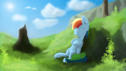 Size: 4000x2250 | Tagged: safe, artist:fuzzyfox11, imported from derpibooru, rainbow dash, absurd resolution, female, grass, leaning, sleeping, solo