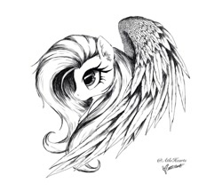 Size: 1024x882 | Tagged: safe, artist:altohearts, imported from derpibooru, fluttershy, female, grayscale, monochrome, profile, simple background, solo