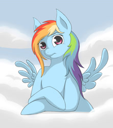 Size: 1500x1700 | Tagged: safe, artist:whiro153, imported from derpibooru, rainbow dash, cloud, cloudy, female, solo