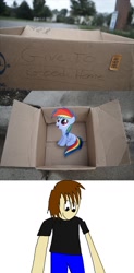 Size: 761x1545 | Tagged: safe, imported from derpibooru, rainbow dash, oc, pegasus, pony, cardboard box, dashie meme, exploitable meme, meme, non-mlp oc