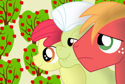 Size: 900x605 | Tagged: safe, artist:bonaldo-kun, imported from derpibooru, apple bloom, big macintosh, granny smith, earth pony, pony, male, stallion