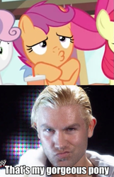 Size: 443x690 | Tagged: safe, imported from derpibooru, screencap, scootaloo, duckface, image macro, meme, nxt, that's my pony, that's my x, tyler breeze, wrestling, wwe