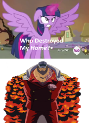 Size: 424x589 | Tagged: safe, edit, edited screencap, imported from derpibooru, screencap, twilight sparkle, alicorn, pony, twilight's kingdom, akainu, exploitable meme, female, hub logo, mare, meme, one piece, sakazuki (one piece), twilight sparkle (alicorn), who destroyed twilight's home