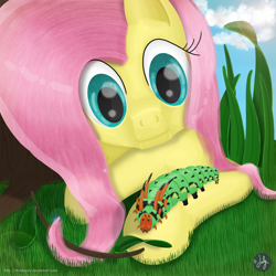 Size: 2800x2800 | Tagged: safe, artist:misterjuly, imported from derpibooru, fluttershy, caterpillar