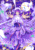 Size: 400x566 | Tagged: safe, artist:sweetsound, imported from derpibooru, twilight sparkle, alicorn, human, pony, anatomically incorrect, animated, c:, crossover, female, flying, glowing, glowing horn, horn, looking at you, magic, mare, patchouli knowledge, seven hooves, smiling, spread wings, touhou, twilight sparkle (alicorn)