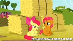 Size: 960x539 | Tagged: safe, edit, edited screencap, imported from derpibooru, screencap, apple bloom, babs seed, earth pony, pony, apple family reunion, appleseed, caption, female, image macro, implied incest, lesbian, meme, shipping