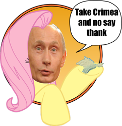 Size: 1024x1056 | Tagged: safe, edit, imported from derpibooru, fluttershy, annexation of crimea, bad advice fluttershy, broken english, crimea, dialogue, exploitable meme, harsher in hindsight, male, meme, politics, solo, vladimir putin