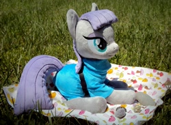 Size: 1045x765 | Tagged: safe, artist:buttercupbabyppg, imported from derpibooru, boulder (pet), maud pie, boulder (g4), irl, photo, plushie, solo