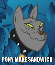 Size: 414x482 | Tagged: safe, edit, edited screencap, imported from derpibooru, screencap, rover, diamond dog, mentally advanced series, a dog and pony show, caption, image macro, meme, solo