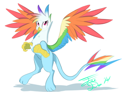 Size: 2534x1925 | Tagged: safe, artist:farewelldecency, imported from derpibooru, rainbow dash, griffon, colored wings, eye contact, female, flying, griffonized, multicolored wings, my little griffon, rainbow feathers, rainbow griffon, rainbow wings, signature, simple background, solo, species swap, white background