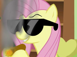 Size: 432x320 | Tagged: safe, artist:dethlunchies, imported from derpibooru, fluttershy, drugs, female, flutterhigh, flutterjoint, marijuana, solo, sunglasses