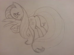 Size: 3264x2448 | Tagged: safe, artist:dawnshadow187, imported from derpibooru, fluttershy, butt, female, monochrome, plot, solo, traditional art