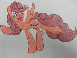 Size: 3264x2448 | Tagged: safe, artist:dawnshadow187, imported from derpibooru, oc, oc only, solo, traditional art