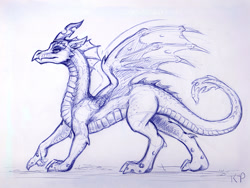 Size: 1200x900 | Tagged: safe, artist:kp-shadowsquirrel, imported from derpibooru, queen chrysalis, changeling, changeling queen, dragon, dragoness, dragonified, dragonlis, female, monochrome, pen drawing, solo, species swap, traditional art