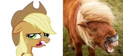 Size: 794x360 | Tagged: safe, imported from derpibooru, applejack, pony, shetland pony, comparison, face, faic, floppy ears, horse yawn, horses doing horse things, real pony, silly, silly pony, who's a silly pony, yawn