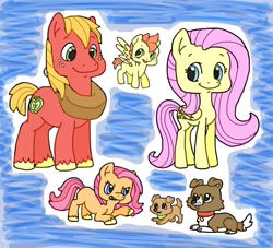 Size: 1480x1342 | Tagged: safe, artist:emmeredith14, imported from derpibooru, big macintosh, fluttershy, winona, oc, dog, earth pony, pony, fluttermac, male, offspring, parent:big macintosh, parent:fluttershy, parents:fluttermac, puppy, shipping, stallion, straight