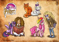 Size: 600x424 | Tagged: safe, artist:trollgirl, imported from derpibooru, opalescence, pinkie pie, twilight sparkle, alicorn, pony, clothes, crookshanks, crossover, female, harry potter, harry potter (series), hermione granger, luna lovegood, mare, mary janes, pleated skirt, shoes, skirt, socks, sweater, thigh highs, twilight sparkle (alicorn)