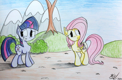 Size: 1093x719 | Tagged: safe, artist:pelate, imported from derpibooru, fluttershy, twilight sparkle, friendship is magic, scene interpretation, traditional art