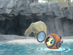 Size: 4608x3456 | Tagged: safe, artist:dasprid, artist:missbeigepony, imported from derpibooru, fluttershy, polar bear, pony, cave, diving helmet, diving suit, irl, photo, ponies in real life, singapore, vector, water, zoo