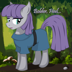 Size: 2500x2500 | Tagged: safe, artist:big-mac-a-brony, imported from derpibooru, boulder (pet), maud pie, boulder (g4), female, solo