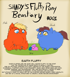 Size: 1200x1326 | Tagged: safe, artist:shadysmarty, imported from derpibooru, earth pony, fluffy pony, pony, bestiary, fluffy beastiary, fluffy family, fluffy pony foals, text