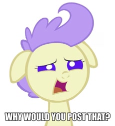 Size: 857x933 | Tagged: safe, artist:3d4d, imported from derpibooru, cream puff, pony, baby, baby pony, female, image macro, meme, reaction image, simple background, solo, white background, why would you post that, worried