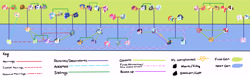Size: 8000x2500 | Tagged: safe, artist:kianamai, imported from derpibooru, apple bloom, applejack, big macintosh, button mash, caramel, cheerilee, cloudchaser, discord, fancypants, flash sentry, fleur-de-lis, fluttershy, pinkie pie, pipsqueak, pokey pierce, princess cadance, princess celestia, princess luna, rainbow dash, rarity, rumble, scootaloo, shining armor, soarin', spike, sweetie belle, thunderlane, twilight sparkle, oc, oc:anthea, oc:api apple, oc:azalea, oc:berry vine, oc:cloudy skies, oc:cotton candy, oc:creme-de-la-creme, oc:crystal clarity, oc:echo (kilala), oc:golden delicious, oc:icy storm, oc:night light jr, oc:pixel bit, oc:prince illusion, oc:princess nidra, oc:prism bolt, oc:red june, oc:starburst, oc:sugar rush, oc:supernova, oc:turquoise blitz, oc:valiant heart, oc:whirlwind, alicorn, bat pony, dracony, hybrid, pony, kilalaverse, adopted offspring, alicorn oc, canon x oc, carajack, chart, cheerimac, cutie mark crusaders, dislestia, family tree, fancyfleur, female, flashlight, headcanon, interspecies offspring, male, mane seven, mane six, next generation, offspring, parent:apple bloom, parent:applejack, parent:big macintosh, parent:button mash, parent:caramel, parent:cheerilee, parent:cloudchaser, parent:discord, parent:fancypants, parent:flash sentry, parent:fleur-de-lis, parent:fluttershy, parent:oc:azalea, parent:oc:berry vine, parent:oc:supernova, parent:pinkie pie, parent:pipsqueak, parent:pokey pierce, parent:princess cadance, parent:princess celestia, parent:princess luna, parent:rainbow dash, parent:rarity, parent:rumble, parent:scootaloo, parent:shining armor, parent:soarin', parent:spike, parent:sweetie belle, parent:thunderlane, parent:twilight sparkle, parents:canon x oc, parents:carajack, parents:cheerimac, parents:dislestia, parents:fancyfleur, parents:flashlight, parents:oc x oc, parents:pipbloom, parents:pokeypie, parents:rumbloo, parents:shiningcadance, parents:soarindash, parents:sparity, parents:sweetiemash, parents:thunderchaser, pipbloom, pokeypie, rumbloo, shiningcadance, shipping, shipping chart, soarindash, sparity, straight, sweetiemash, thunderchaser, twilight sparkle (alicorn), wall of tags