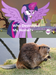 Size: 426x570 | Tagged: safe, edit, edited screencap, imported from derpibooru, screencap, twilight sparkle, alicorn, beaver, pony, twilight's kingdom, exploitable meme, female, hub logo, irl, mare, meme, photo, twilight sparkle (alicorn), who destroyed twilight's home