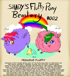 Size: 1200x1326 | Tagged: safe, artist:shadysmarty, imported from derpibooru, fluffy pony, pegasus, pony, fluffy beastiary, fluffy pony foals, text