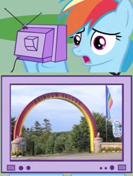 Size: 601x800 | Tagged: safe, imported from derpibooru, rainbow dash, exploitable meme, meme, obligatory pony, prince edward island, rainbow valley, tv meme