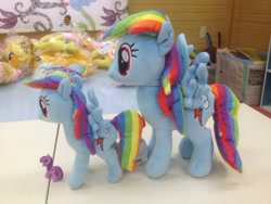 Size: 500x375 | Tagged: safe, imported from derpibooru, rainbow dash, irl, nici, official, photo, plushie