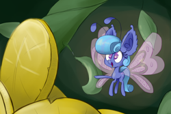 Size: 1500x1000 | Tagged: safe, artist:heir-of-rick, imported from derpibooru, oc, oc only, oc:sapphire lollipop, breezie, coin, impossibly large ears, solo