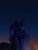 Size: 600x800 | Tagged: safe, artist:ilanta, imported from derpibooru, princess luna, detailed, female, glow, glowing, night, solo