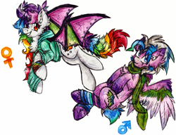 Size: 1857x1424 | Tagged: safe, artist:iroxykun, imported from derpibooru, oc, oc only, oc:daydream, oc:lucid wing, bat pony, pegasus, pony, cutie mark, female, male, mare, rainbow, stallion, wings