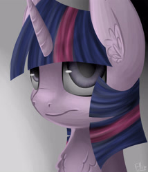 Size: 4700x5500 | Tagged: safe, artist:ellipsissyas, imported from derpibooru, twilight sparkle, absurd resolution, female, solo