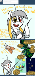 Size: 1201x2632 | Tagged: artist needed, safe, artist:askthemothponies, imported from derpibooru, oc, oc only, oc:meisa, butterfly, insect, moth, mothpony, original species, ask the moths, ask, askthemothponies, comic, day, diagram, dialogue, educational, heterochromia, moon, night, solo, sun, tumblr