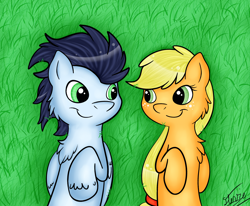 Size: 2562x2106 | Tagged: safe, artist:vigilantefreak, imported from derpibooru, applejack, soarin', female, grass, hatless, looking at each other, male, missing accessory, on back, shipping, smiling, soarinjack, straight