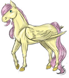 Size: 3547x4000 | Tagged: safe, artist:lisa400, imported from derpibooru, fluttershy, colored sketch, female, realistic, sketch, solo