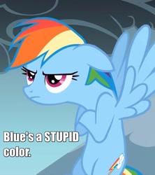 Size: 1280x1440 | Tagged: safe, imported from derpibooru, rainbow dash, 1kidsentertainment, blue, female, grumpy, hypocritical humor, image macro, irony, meme, pokémon the bridged series, solo, text edit