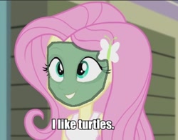 Size: 392x308 | Tagged: safe, imported from derpibooru, screencap, fluttershy, equestria girls, rainbow rocks, 1000 hours in ms paint, female, i like turtles, image macro, meme, ms paint, solo